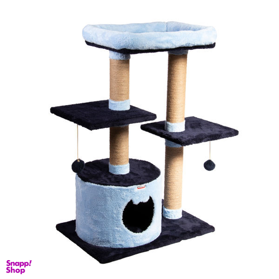 اسکرچر گربه کد یپک مدل اقاقیا