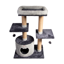 اسکرچر گربه کد یپک مدل اقاقیا