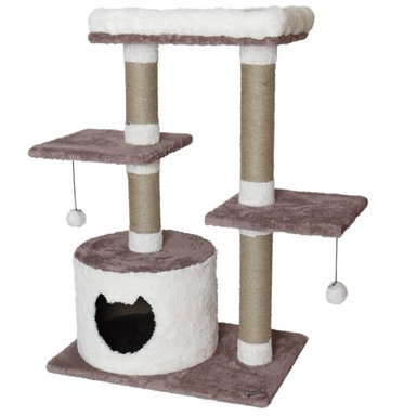 اسکرچر گربه کد یپک مدل اقاقیا