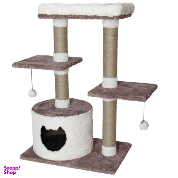 اسکرچر گربه کد یپک مدل اقاقیا