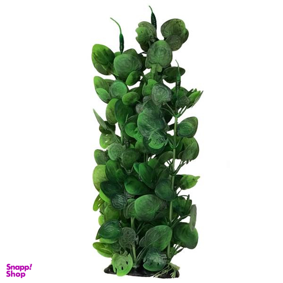 گیاه آکواریوم هلسی مدل A41