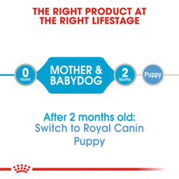 کنسرو غذای سگ رویال کنین مدل Starter Mother & Babydog وزن 195 گرم