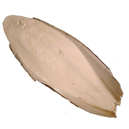 کف دریا کد M 70 وزن 70 گرم