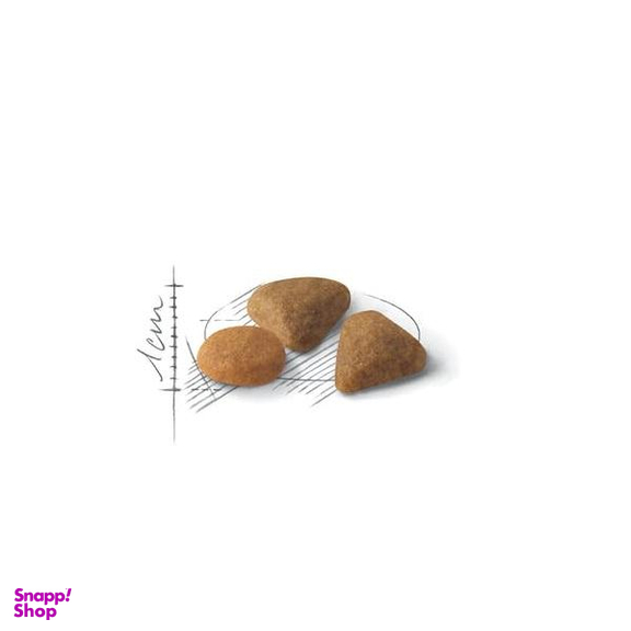 غذای خشک گربه رویال کنین مدل سیور اگزیجنت وزن 2 کیلوگرم