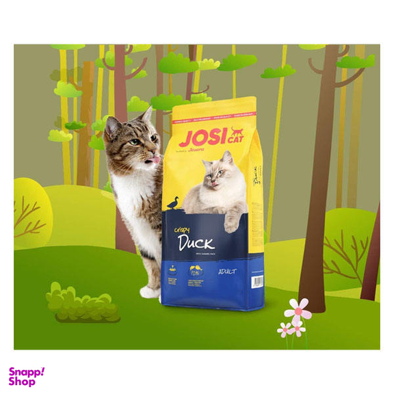 غذا خشک گربه جوسرا مدل Josicat Duck وزن 10 کیلوگرم