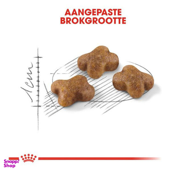 غذا خشک بچه گربه رویال کنین مدل Kitten وزن 2 کیلوگرم به همراه بستنی گربه
