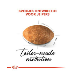 غذا خشک گربه رویال کنین مدل Persian Adult وزن 2 کیلوگرم به همراه بستنی گربه