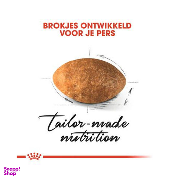 غذا خشک گربه رویال کنین مدل Persian Adult وزن 2 کیلوگرم به همراه بستنی گربه