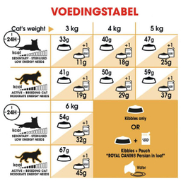 غذا خشک گربه رویال کنین مدل Persian Adult وزن 2 کیلوگرم به همراه بستنی گربه