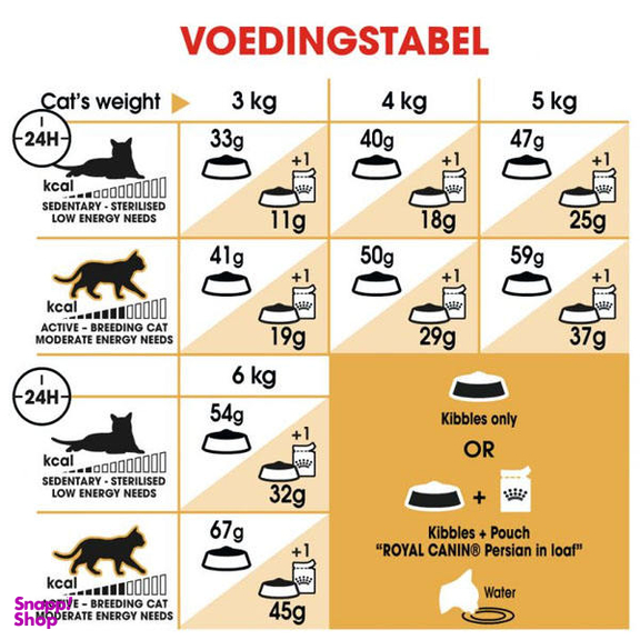 غذا خشک گربه رویال کنین مدل Persian Adult وزن 2 کیلوگرم به همراه بستنی گربه