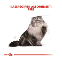 غذا خشک گربه رویال کنین مدل Persian Adult وزن 2 کیلوگرم به همراه بستنی گربه