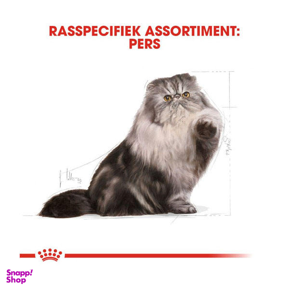 غذا خشک گربه رویال کنین مدل Persian Adult وزن 2 کیلوگرم به همراه بستنی گربه