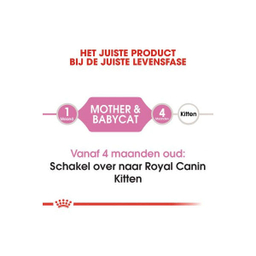 غذا خشک گربه رویال کنین مدل Mother And Babycat وزن 2 کیلوگرم به همراه بستنی
