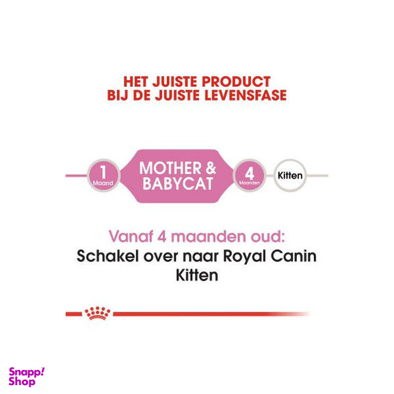 غذا خشک گربه رویال کنین مدل Mother And Babycat وزن 2 کیلوگرم به همراه بستنی