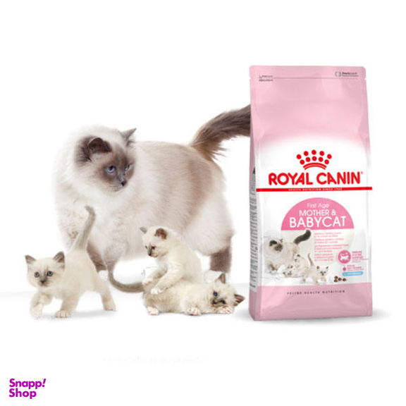 غذا خشک گربه رویال کنین مدل Mother And Babycat وزن 2 کیلوگرم به همراه بستنی