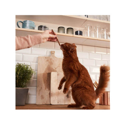 غذای تشویقی گربه جیم کت (Gim Cat) مدل مدادی بره و پرندگان وزن 25 گرم مجموعه 5 عددی