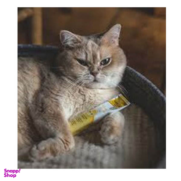 مالت گربه جیم کت مدل بیوتین پنیری وزن 50 گرم