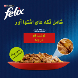 غذای پوچ گربه فلیکس مدل گوشت گاو وزن 100 گرم مجموعه 4 عددی