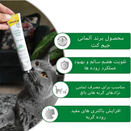 خمیر مالت گربه جیم کت مدل گاسترو اینتستینال وزن 50 گرم