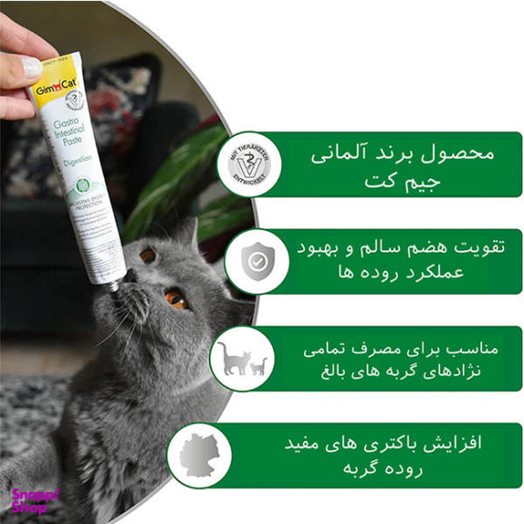 خمیر مالت گربه جیم کت مدل گاسترو اینتستینال وزن 50 گرم