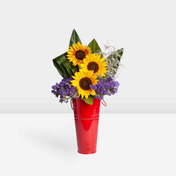 باکس گل خورشید