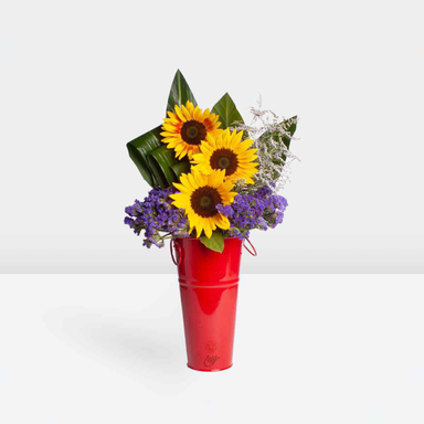 باکس گل خورشید