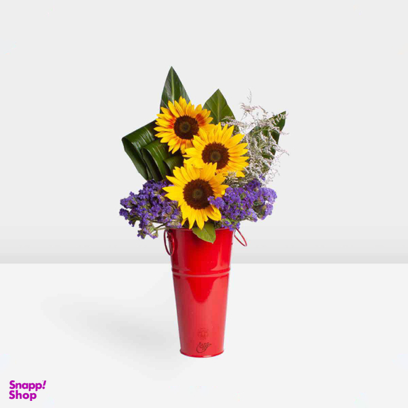 باکس گل خورشید