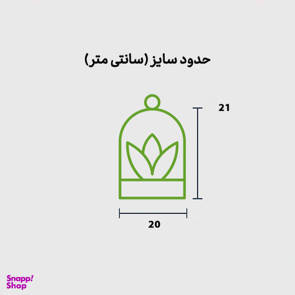 تراریوم آمازون