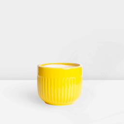 گلدان سرامیکی کروی scp13