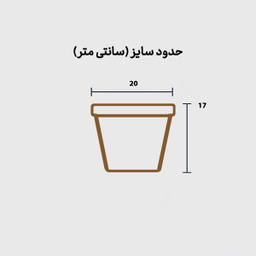 گلدان مواد آلی استوانه ای sop25