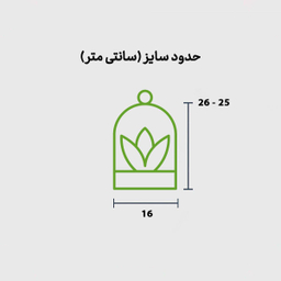 تراریوم آمازون سایز بزرگ