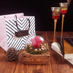 رز جاودان کلاسیک