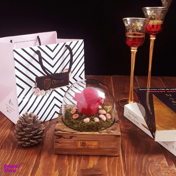 رز جاودان کلاسیک