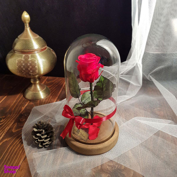 رز جاودان دیو و دلبر