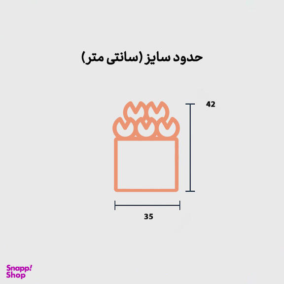 باکس گل روز آفتابی