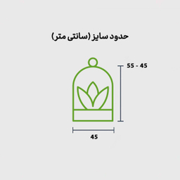 تراریوم حباب کره ای جنسینگ