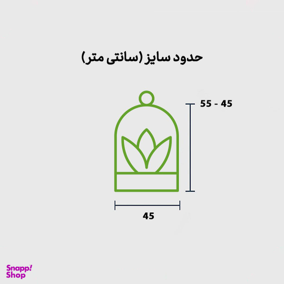 تراریوم حباب کره ای جنسینگ