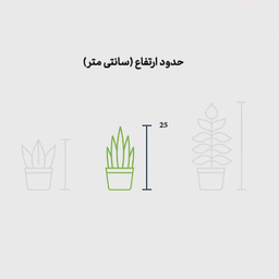 قاشقی لب ماتیکی در گلدان فلزی