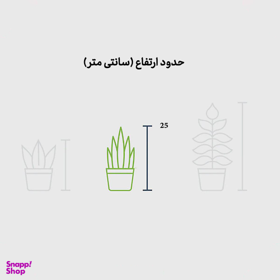 قاشقی لب ماتیکی در گلدان فلزی
