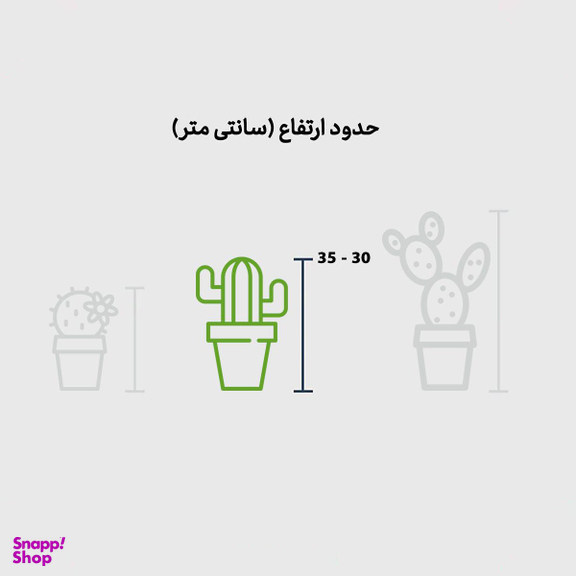 دیش گاردن سرامیکی کاکتوس