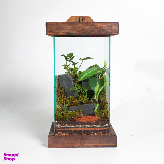 تراریوم اسکویر با استند نور