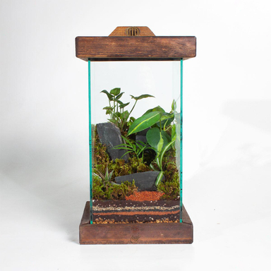 تراریوم اسکویر با استند نور