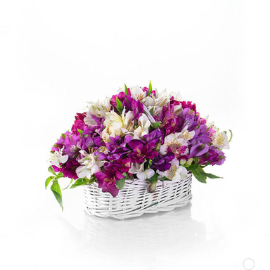 سبد گل آلسترومریا رنگارنگ ( کوچک )
