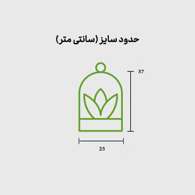 تراریوم باغ عدن الماس