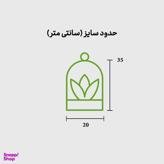 تراریوم بونسای دارک