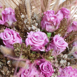 باکس دیبا طلایی