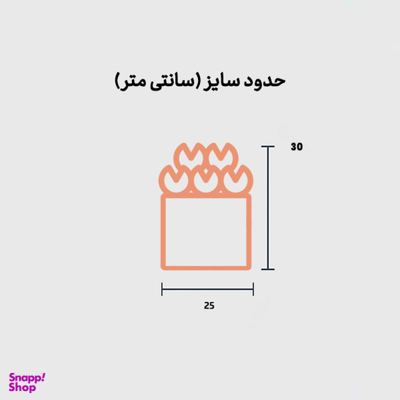 باکس گل جان جانان