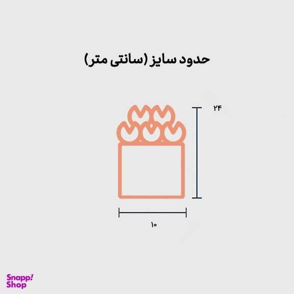 باکس گل میخک سرخابی