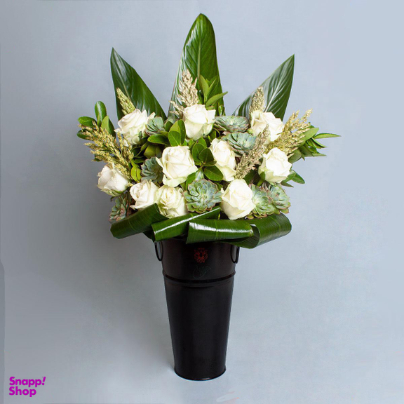 کاپ رز سپید