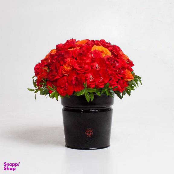 باکس گل غزال
